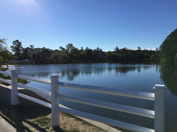 Brickyard lake view