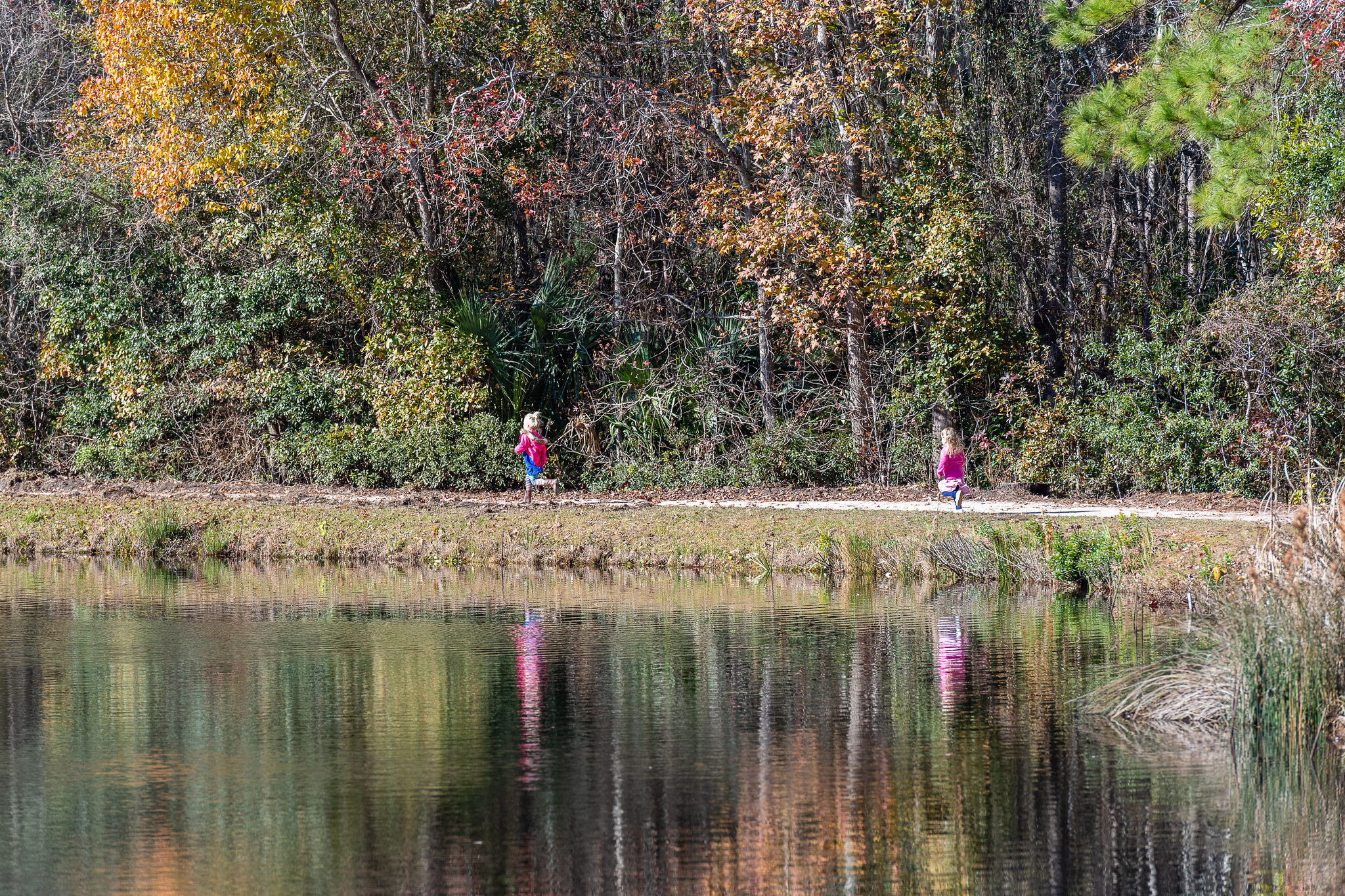 Brickyard Plantation natural view
